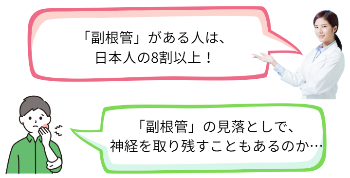 副根管は日本人8割以上
